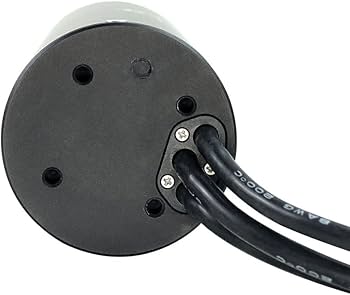 Amazon.com: Flipsky Brushless Motor Sensorless Amphibious Fully